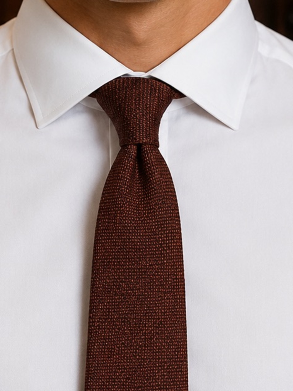 Petronius Textured Silk Tie in Cocoa Brown
